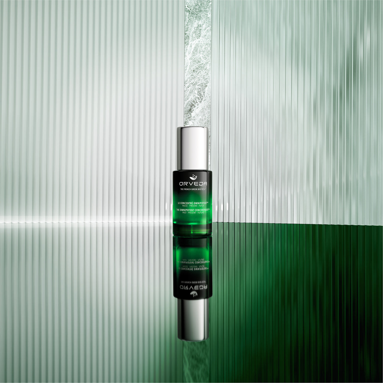 THE NEW WORLD VALUES