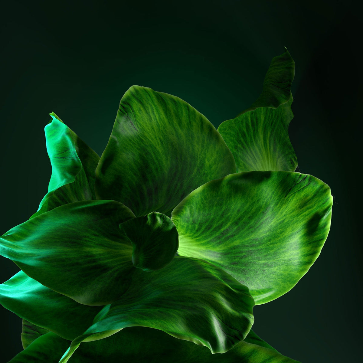 Product highlight background image
